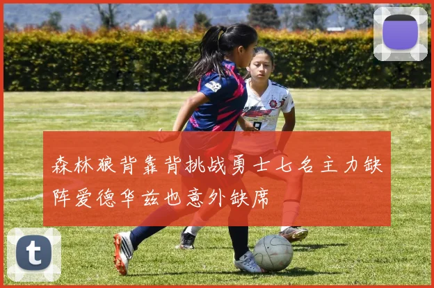 森林狼背靠背挑战勇士七名主力缺阵爱德华兹也意外缺席
