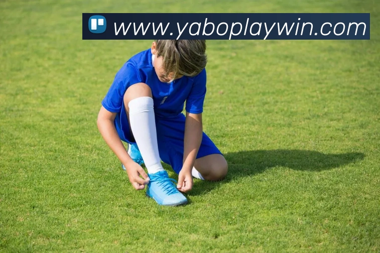 亚博体育平台生态图