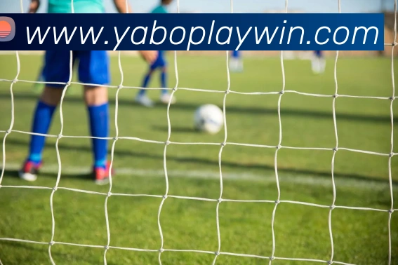 亚博体育全站App